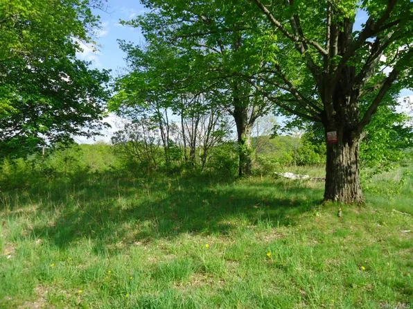 Crescent Ave, Plattekill, NY 12528