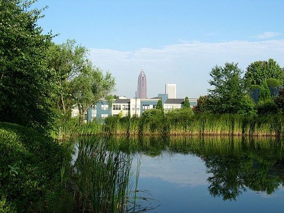 Freedom Park which is across the street offers plenty of greenspace and bike and running trails whic