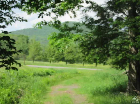 0 Route 23c Lot #4, Lexington, NY 12452