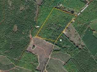 Little Mountain Rd, Palmyra, VA 22963