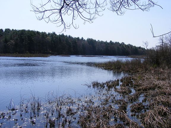 view of the pond