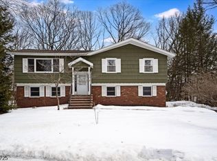 603 Bensel Dr, Mount Arlington Boro, NJ 07850