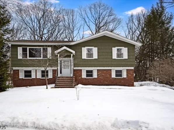 603 Bensel Dr, Mount Arlington Boro, NJ 07850