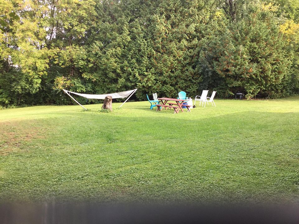 Private Backyard