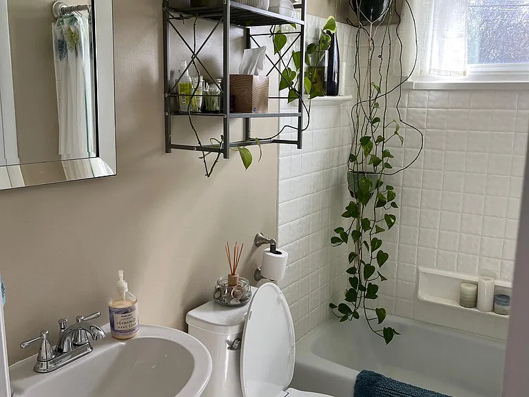 hall bathroom (example with furnishing)