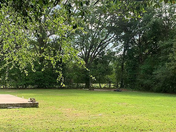 Left corner of backyard 
