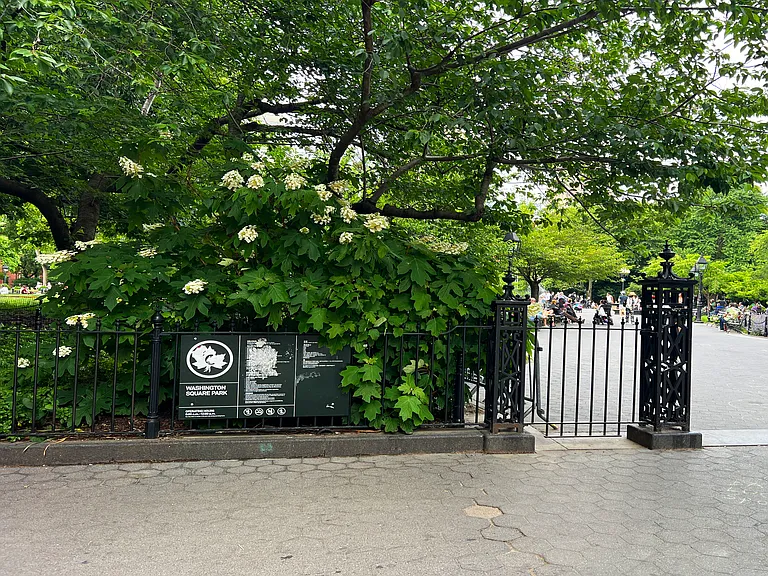 211 Thompson St #2D — Photo 12