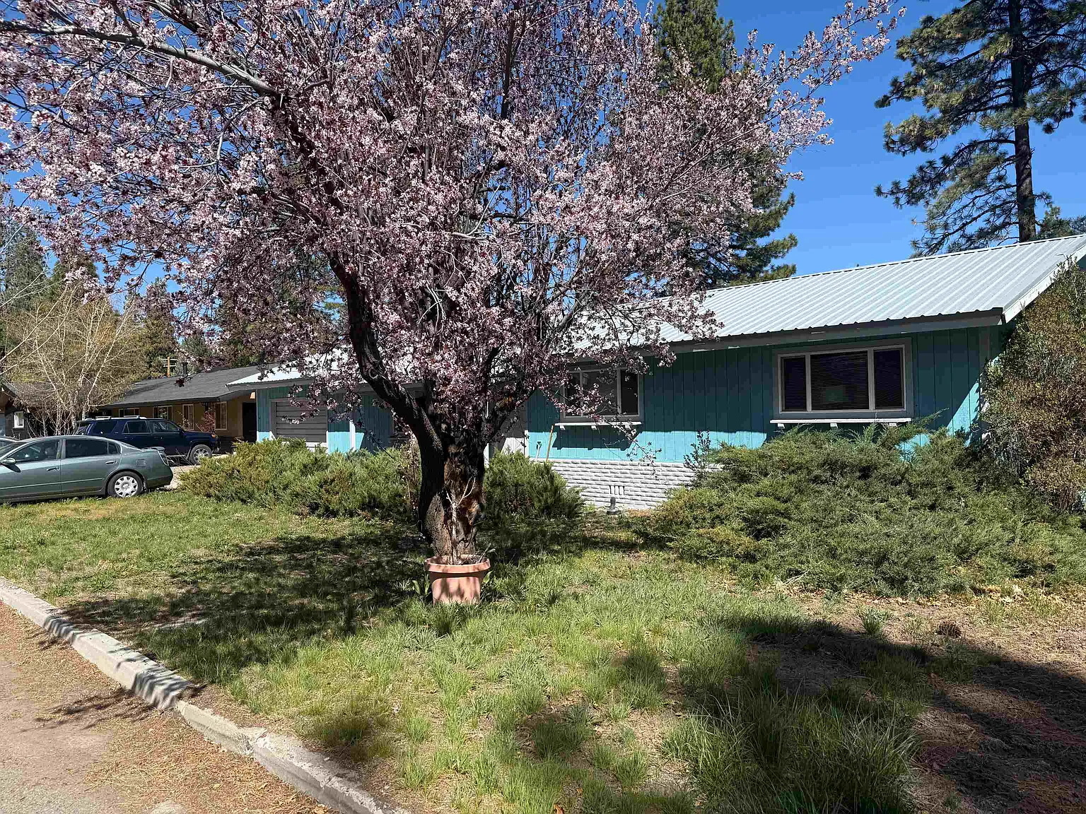 396 E Loyalton Ave photo 1