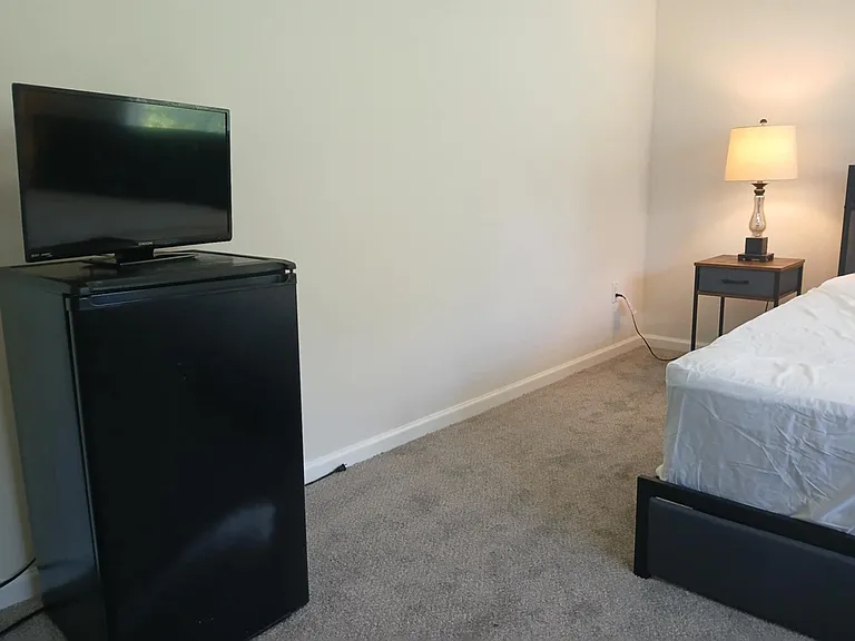 Mini-fridge and television