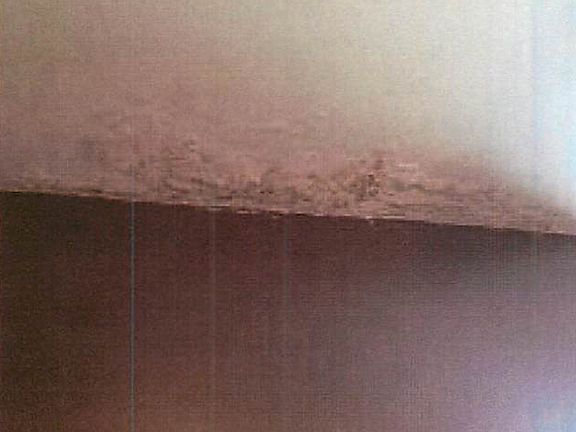 4th image of 4115 Flower Ave