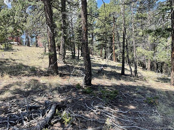 3rd image of 971 Spring Valley Lane LOT 1115