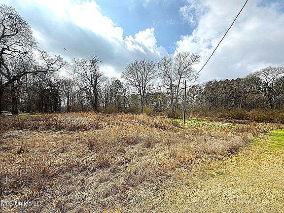 4th image of 4019 E Fernwood Rd