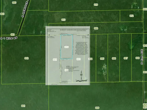 Vl N Elm, White Cloud, MI 49349