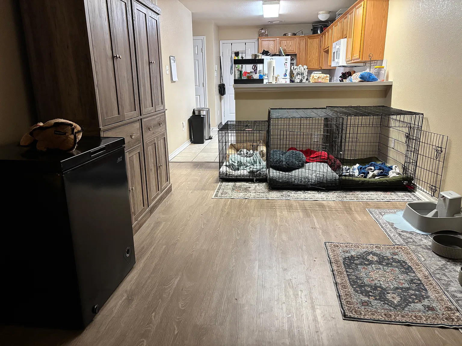 3 bed, 1389 sqft, $1,550 — Photo 3