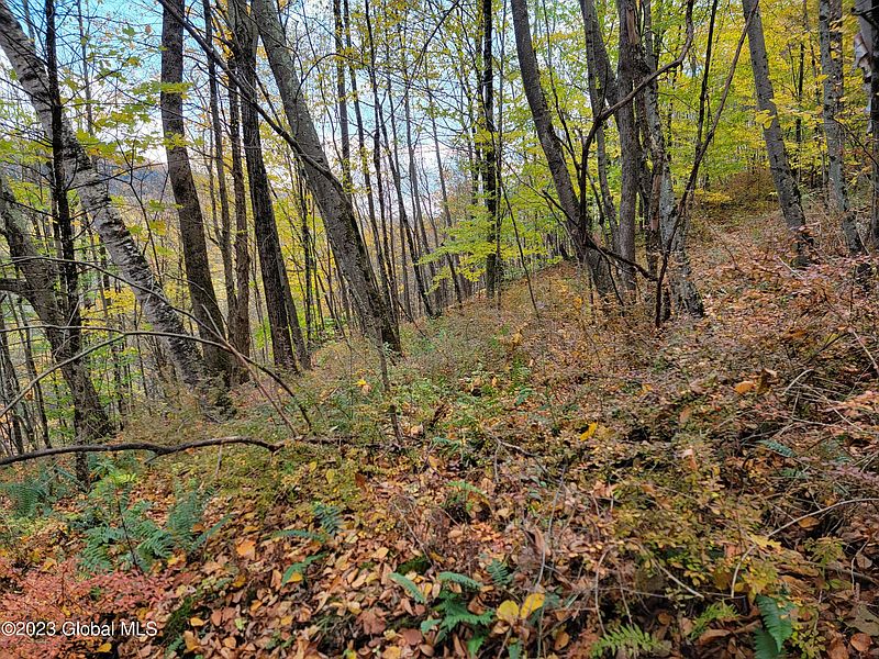 3rd image of L6.113 NY State Route 22