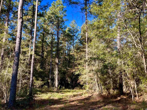 15 Hall And Lindsey Rd, Greensburg, LA 70441