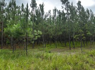 0 77th Rd, O'Brien, FL 32071