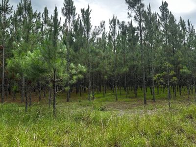 0 77th Rd, O'Brien, FL, 32071