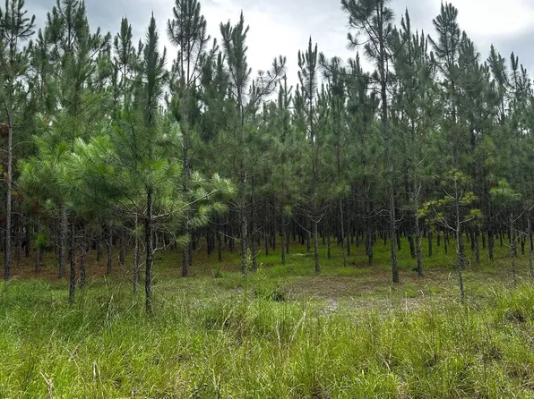 0 77th Rd, O'Brien, FL 32071