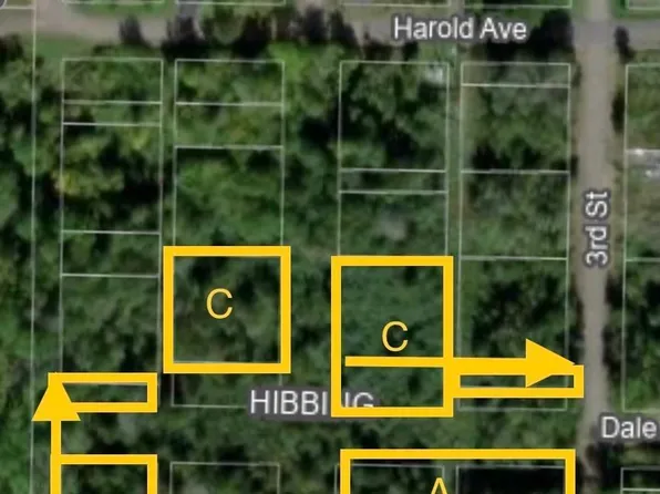 3rd Street Littonia, Hibbing, MN 55746