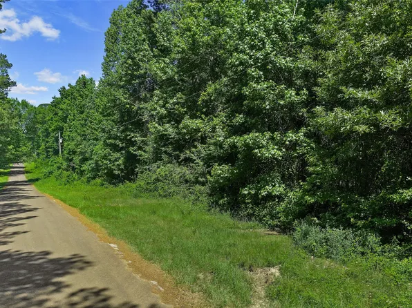 County Road 3363 Tract #C, De Berry, TX 75639