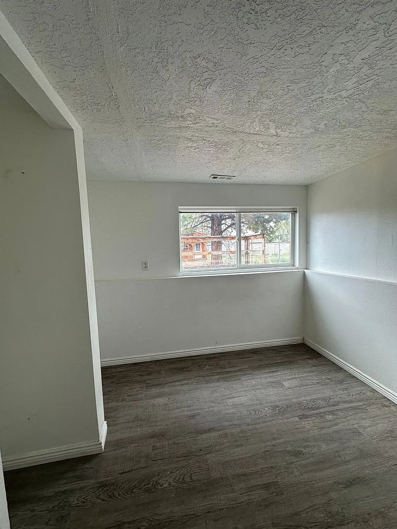 Charming Downstairs apartment — Photo 4