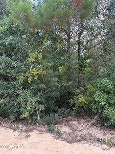 0 Grand Mesa Ave, Alford, FL, 32420