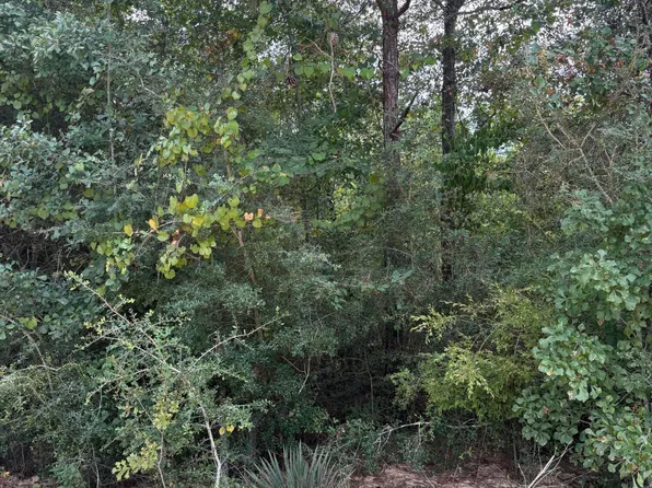 0 Grand Mesa Ave, Alford, FL 32420