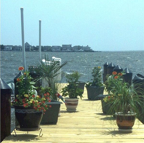 View of the bay.