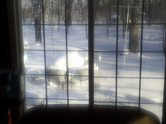 View from the Dining room 