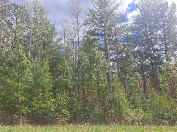 0 Little Dan River Rd, Claudville, VA 24076