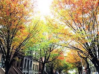 Rented by The Find NY