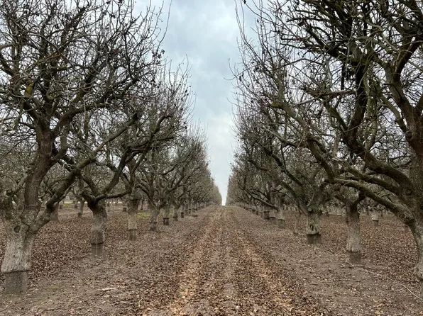 Avenue 11, Madera, CA 93636