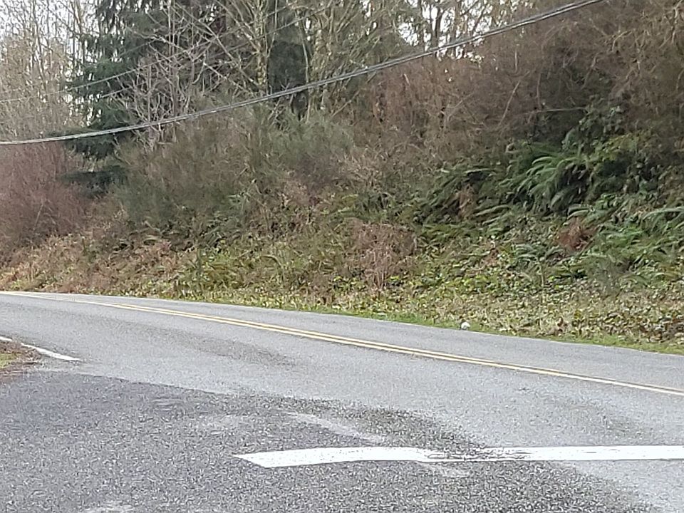 2nd image of 24004 115th Ave NE