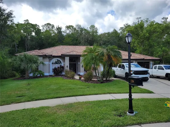 1284 Greybrooke Pl, Oldsmar, FL 34677