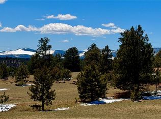 418 Scott Drive LOT 101, Florissant, CO 80816