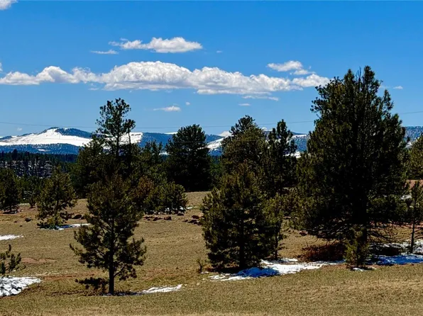 418 Scott Drive LOT 101, Florissant, CO 80816