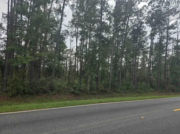 SW Cr E #333, Bristol, FL 32321