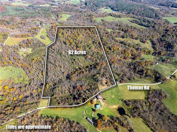 2440 Thomas Rd, Chesterhill, OH 43728
