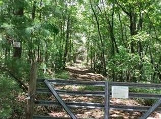 LOT 41 Whisenant Mountain Rd, Ellijay, GA 30540