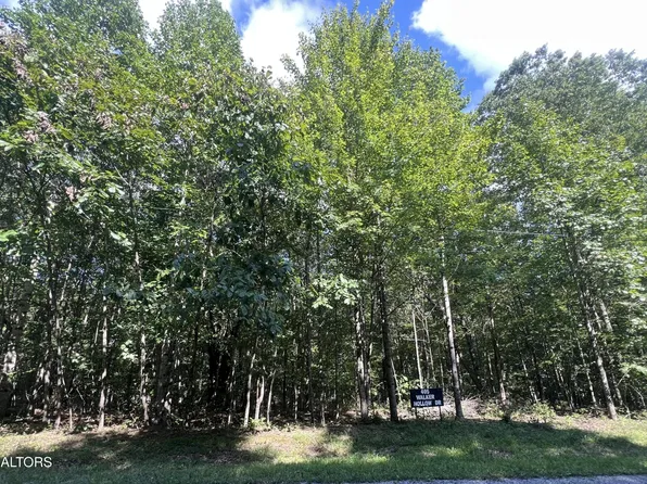 405 Walker Hollow Dr Lot 1, Monterey, TN 38574