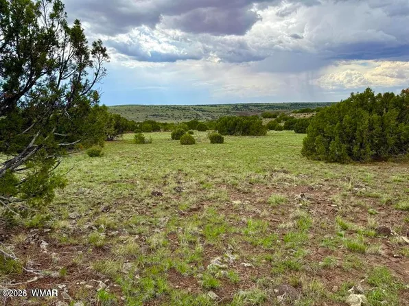 83 County Road 8128, Concho, AZ 85924