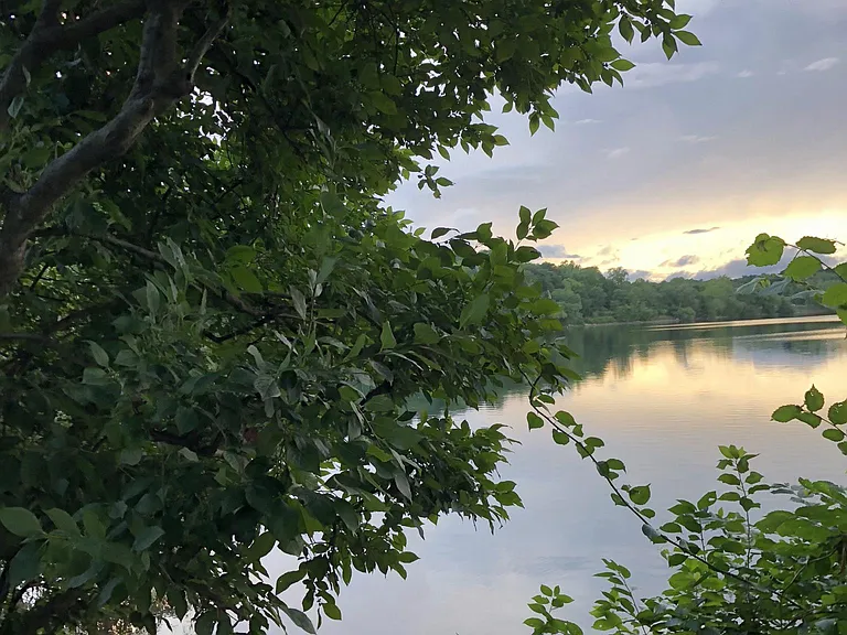 Jamaica Pond a few blocks away