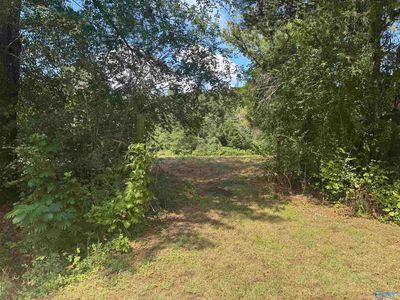 2 Word Mountain Rd, Grant, AL, 35747