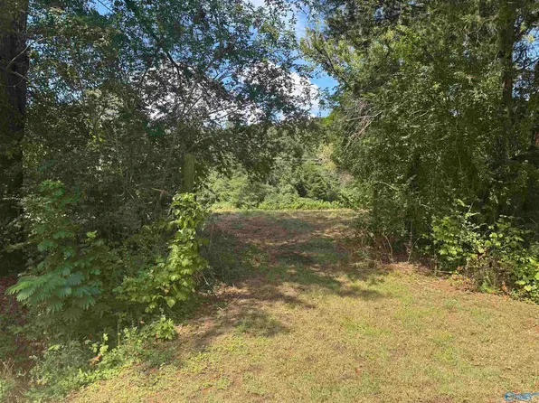 2 Word Mountain Rd, Grant, AL 35747