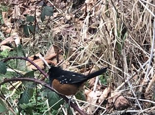 10842 NE 148th Ln UNIT A2, Bothell, WA 98011