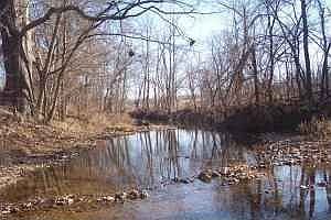 ajoining creek