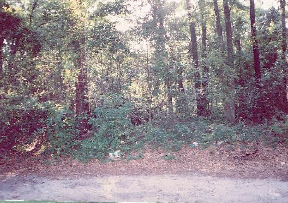 2nd image of 0 McCargo St S