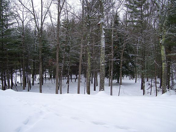 2.07 acres of PRIVACY