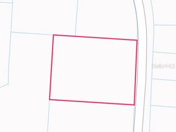 34253 Berryhill Dr Lot 2, Webster, FL 33597